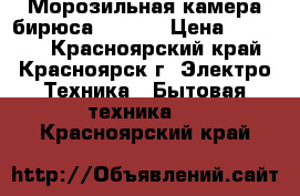 Морозильная камера бирюса F114CA › Цена ­ 14 000 - Красноярский край, Красноярск г. Электро-Техника » Бытовая техника   . Красноярский край